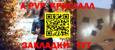 дживик Моздок