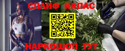 дживик Моздок
