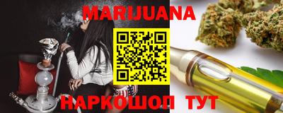 дживик Моздок